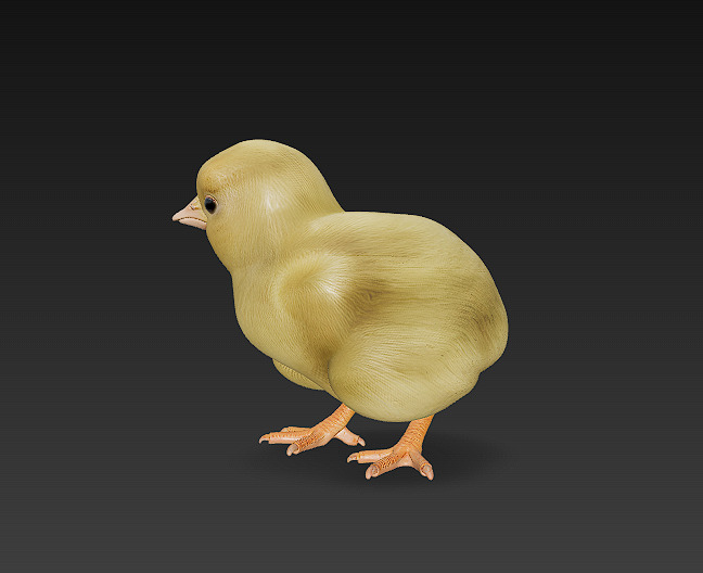 Chick Baby 3D Model Basic - Low Poly Simple Low-poly 3D model_5