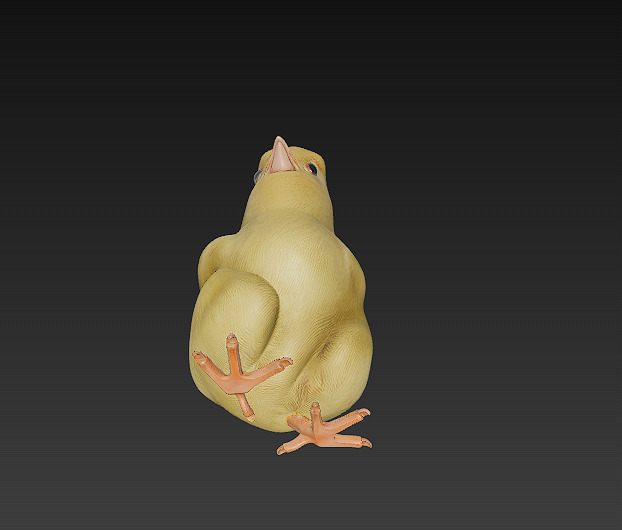 Chick Baby 3D Model Basic - Low Poly Simple Low-poly 3D model_7