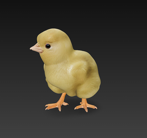 Chick Baby 3D Model Basic - Low Poly Simple Low-poly 3D model_1