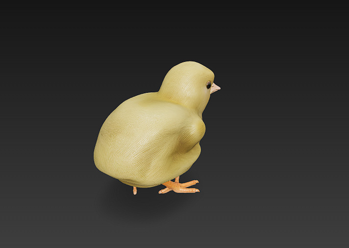 Chick Baby 3D Model Basic - Low Poly Simple Low-poly 3D model_3