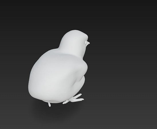 Chick Baby 3D Model Basic - Low Poly Simple Low-poly 3D model_11
