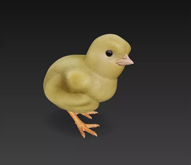 Chick Baby 3D Model Basic - Low Poly Simple Low-poly 3D model_0