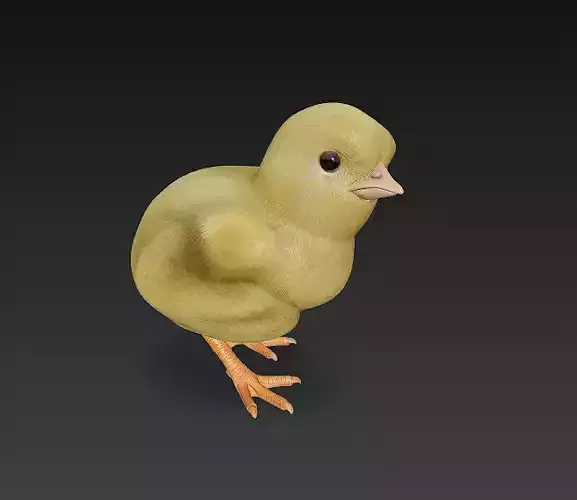 Chick Baby 3D Model Basic - Low Poly Simple