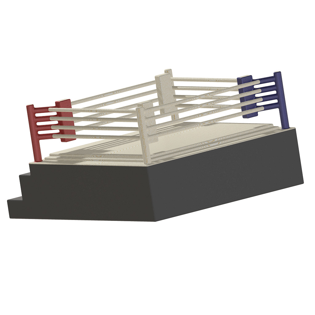 Exquisite Boxing Ring 3D print model_3