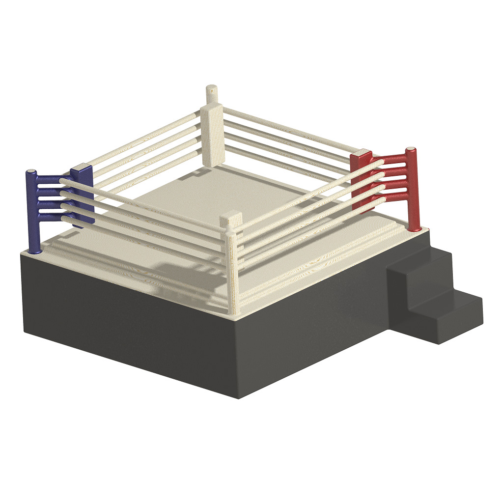 Exquisite Boxing Ring 3D print model_1