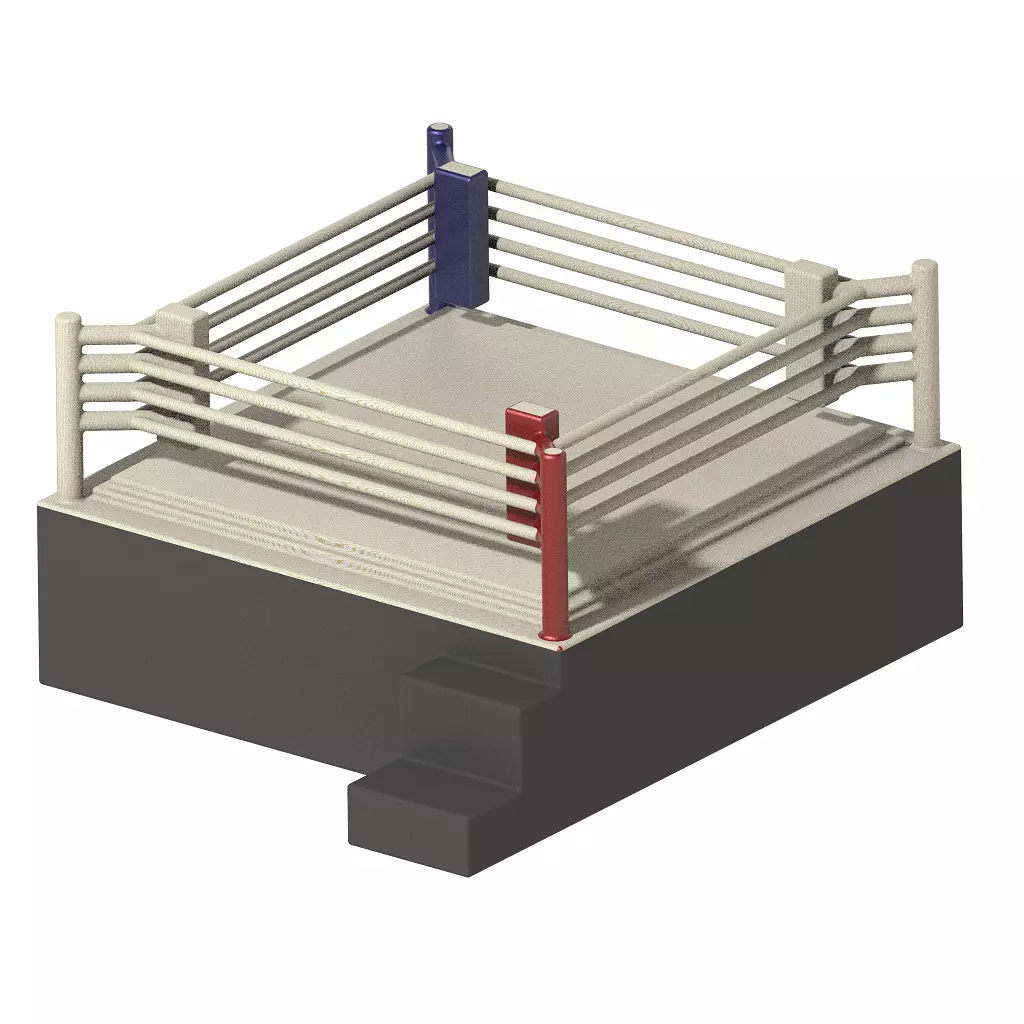 Exquisite Boxing Ring 3D print model_0