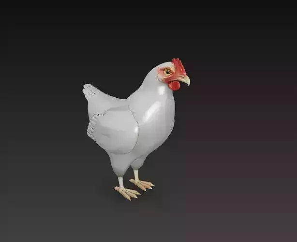 Chicken 3D Model Basic - Low Poly Simple