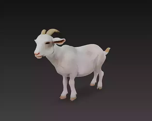 Goat 3D Model Basic - Low Poly Simple