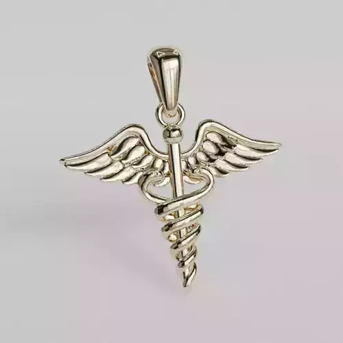 medical caduceus earrings