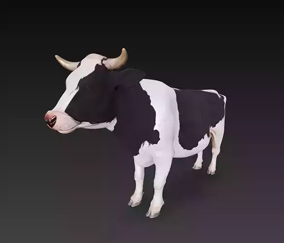 Big Cow 3D Model Basic - Low Poly Simple