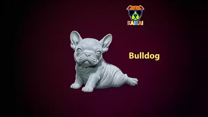 Bulldog model - america bully dog - 3D print