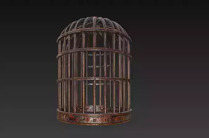 antique birdcage