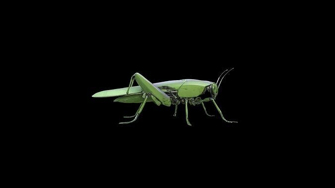 3d Render Steampunk Grasshopper Robot 3D model