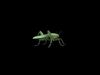 3d Render Steampunk Grasshopper Robot 3D model_1