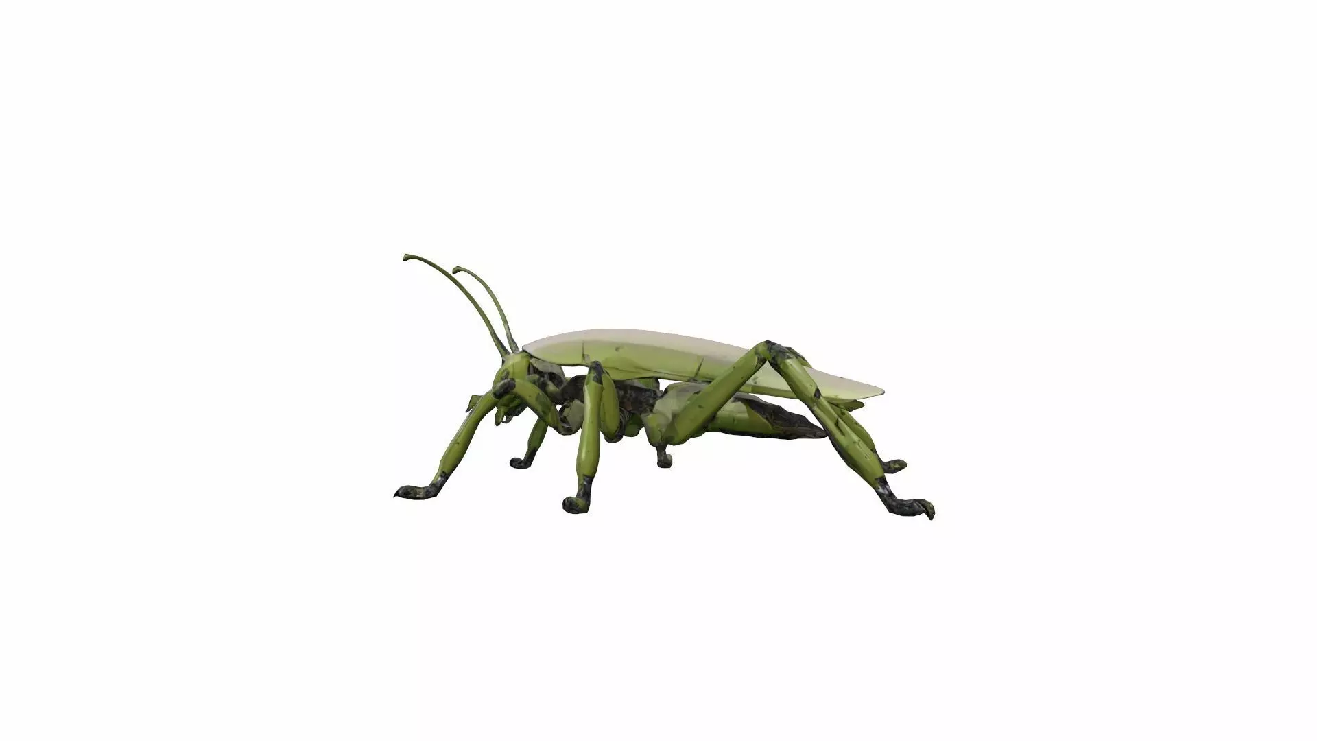 3d Render Steampunk Grasshopper Robot 3D model_0