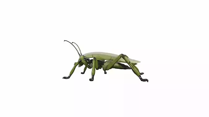 3d Render Steampunk Grasshopper Robot