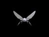 3d Render Steampunk Robot Moth 3D model_1