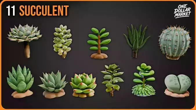 11 Succulents Collection 3D model