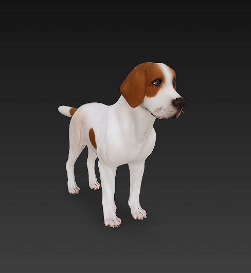 Dog Beagle 3D Model Basic - Low Poly Simple Low-poly 3D model_6