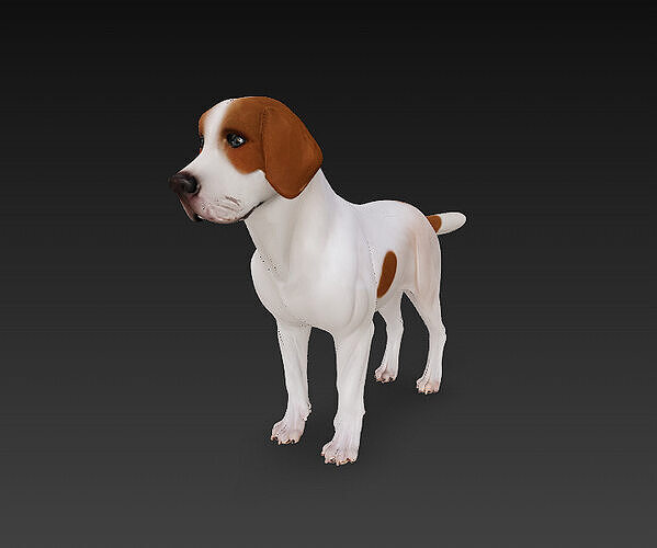 Dog Beagle 3D Model Basic - Low Poly Simple Low-poly 3D model