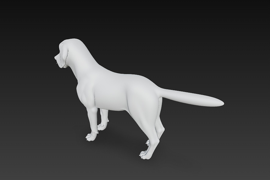 Dog Beagle 3D Model Basic - Low Poly Simple Low-poly 3D model_10