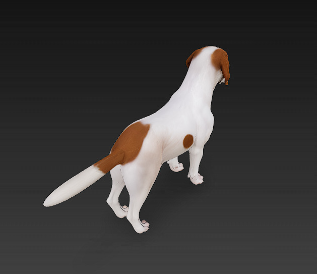 Dog Beagle 3D Model Basic - Low Poly Simple Low-poly 3D model_3