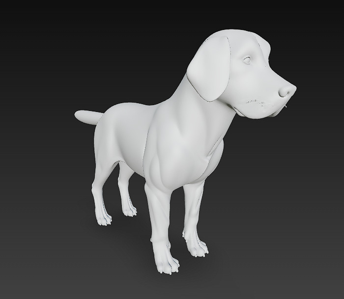 Dog Beagle 3D Model Basic - Low Poly Simple Low-poly 3D model_13