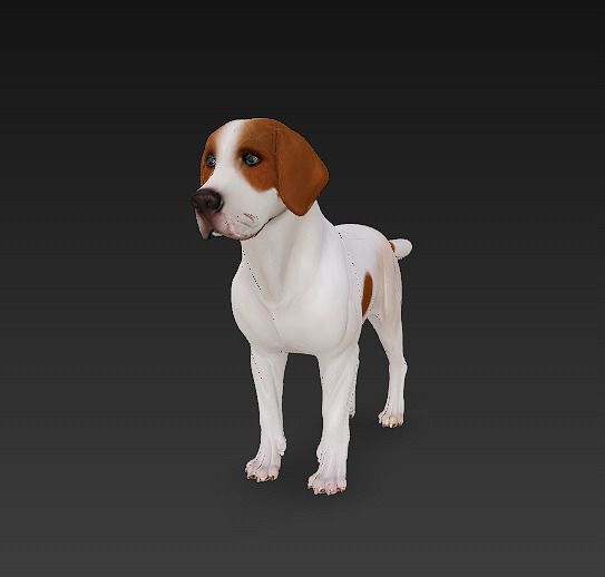 Dog Beagle 3D Model Basic - Low Poly Simple Low-poly 3D model_5