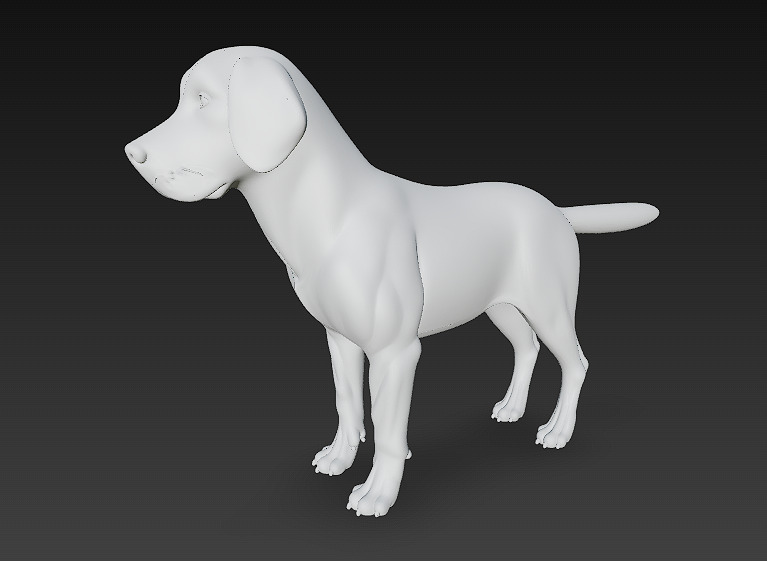 Dog Beagle 3D Model Basic - Low Poly Simple Low-poly 3D model_9