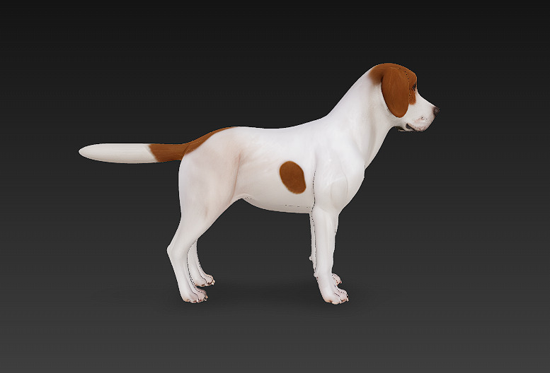 Dog Beagle 3D Model Basic - Low Poly Simple Low-poly 3D model_2