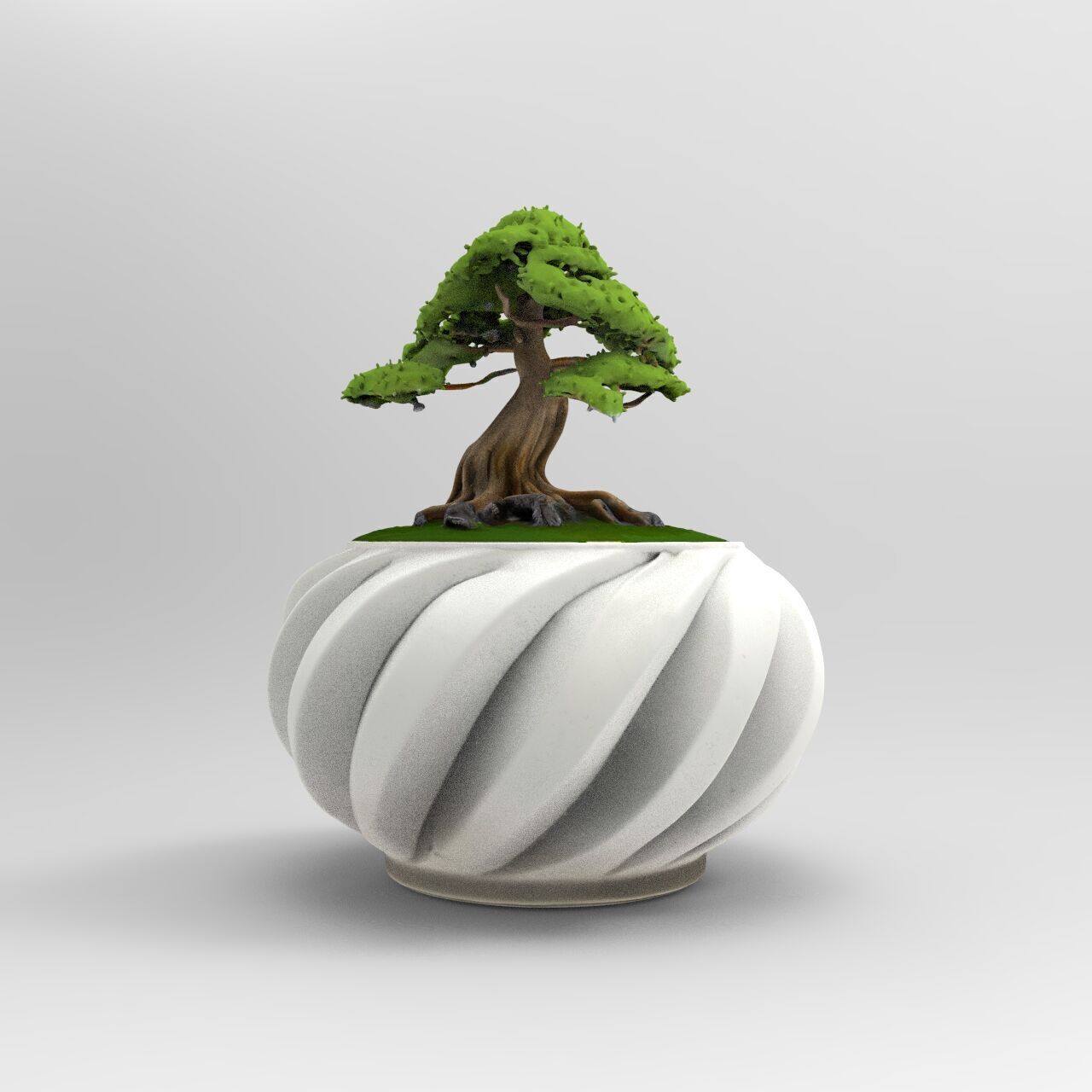 bonsai 3D print model_3