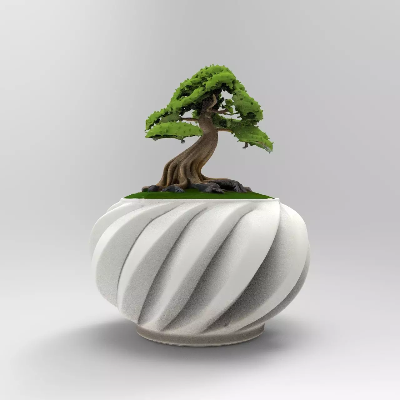 bonsai 3D print model_0