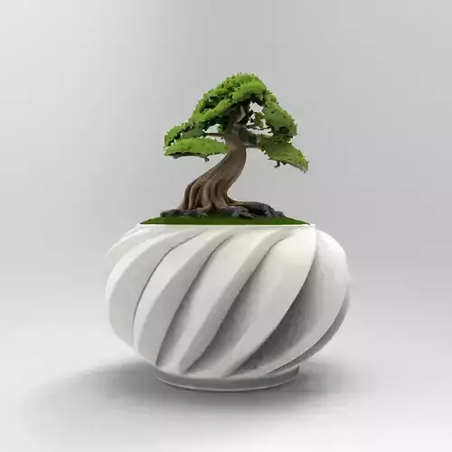 bonsai