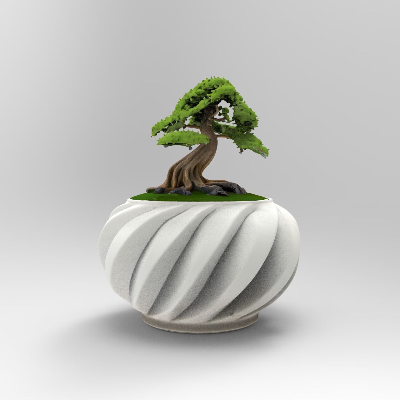 bonsai 3D print model_2