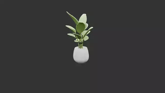 Potted Snake Plant in Ceramic Vase Low-poly 3D model