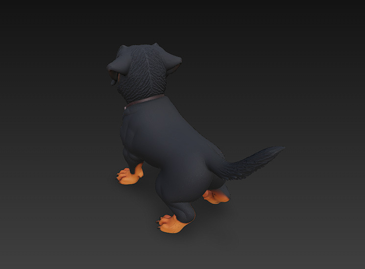Rottweiler Puppy Dog 3D Model Basic - Low Poly Simple Low-poly 3D model_4