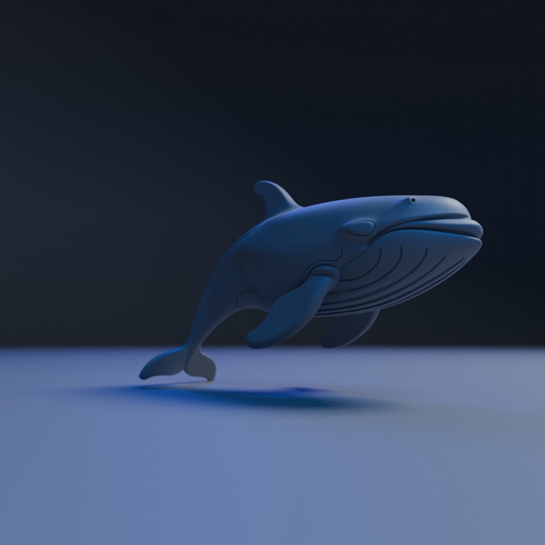 whale 3D print model_3