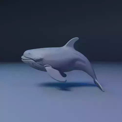 whale 3D print model