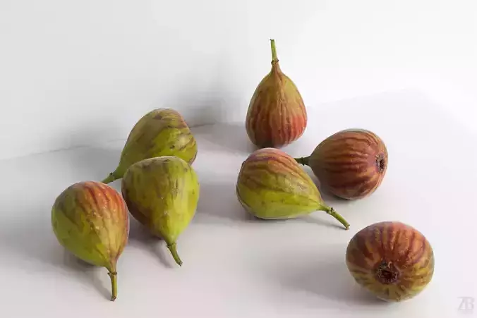 Fig  