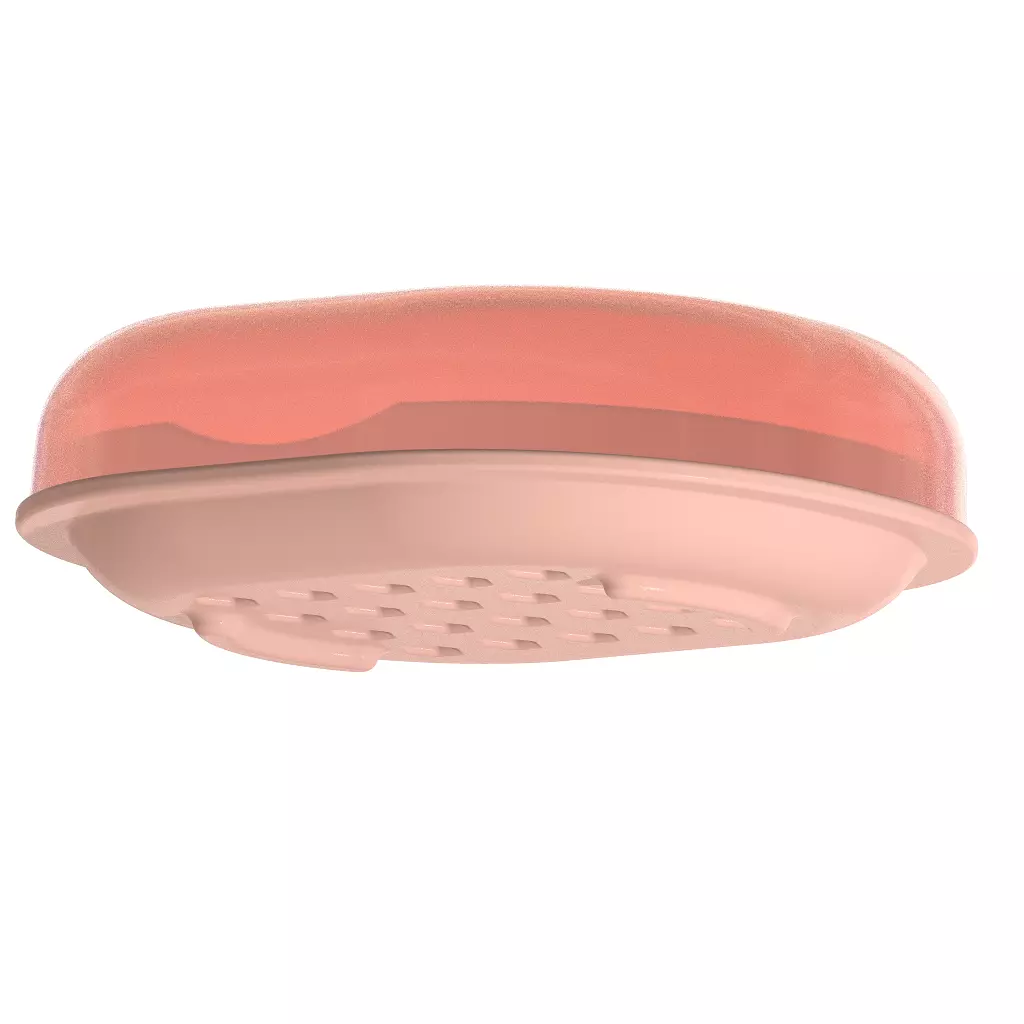 Exquisite Soap Dish 3D print model_0