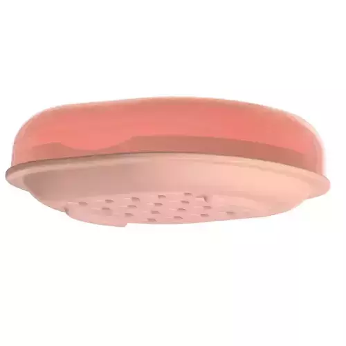Exquisite Soap Dish 3D print model