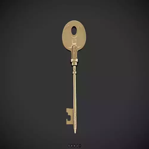 brass house key