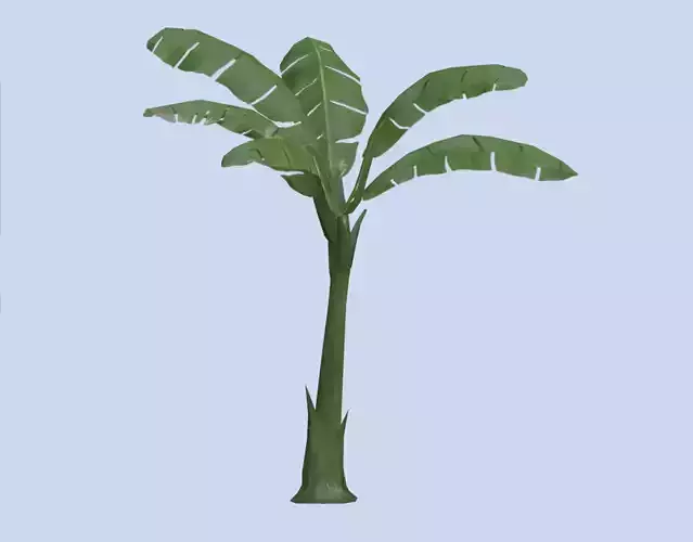 VR PBR ENVIRONMENT ASSET REALISTIC BANANA TREE TALL 3D MODEL