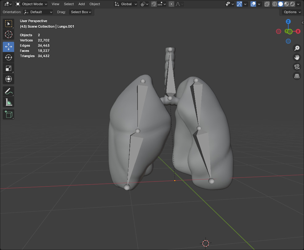 Realistic Animated Human Lungs 3D Model High Detail 3D model_4
