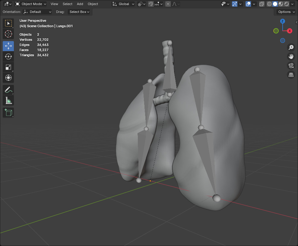 Realistic Animated Human Lungs 3D Model High Detail 3D model_5