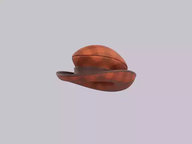 Hat669