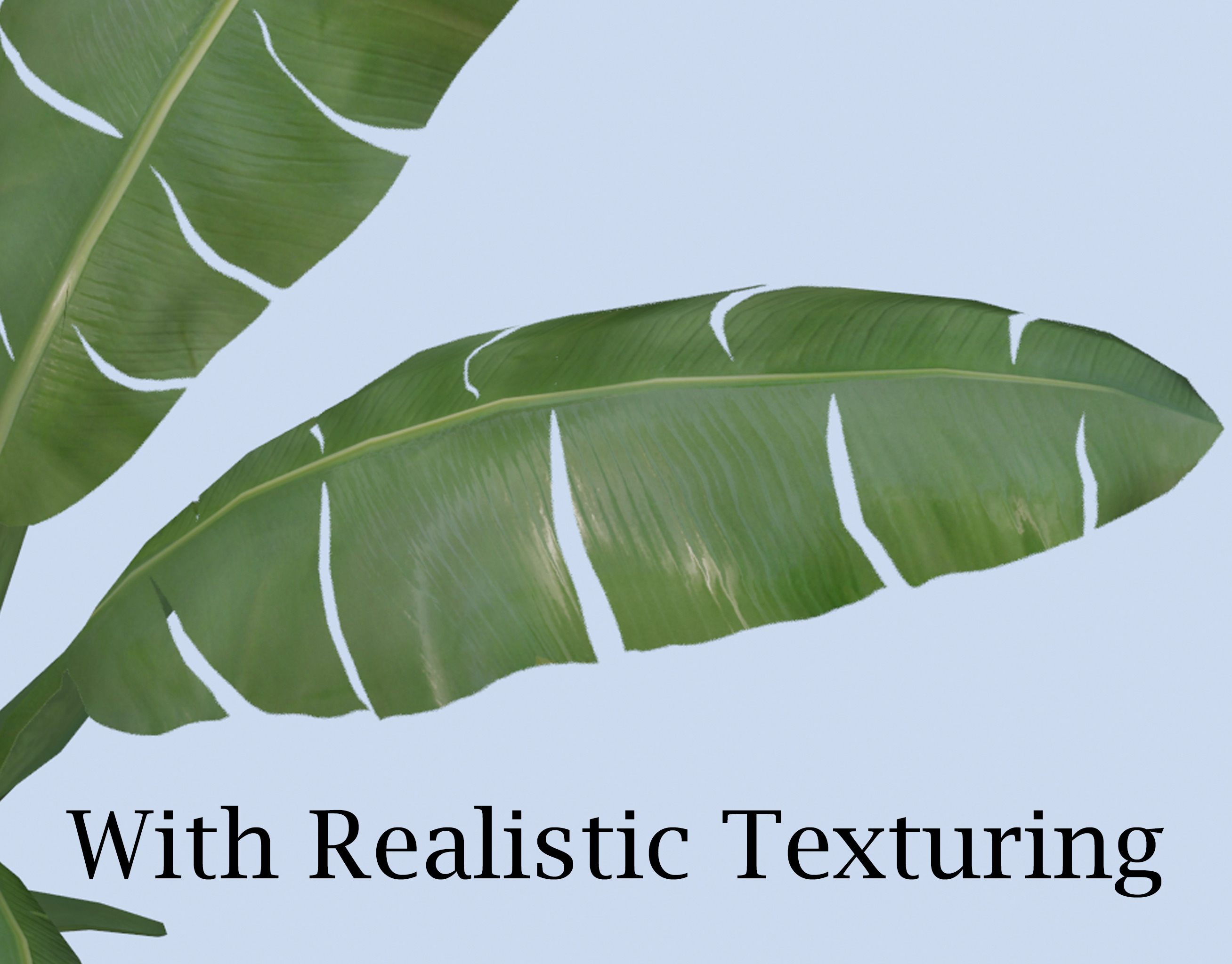 3D model VR PBR ENVIRONMENT ASSET REALISTIC BANANA TREE BROWNING 3D ...