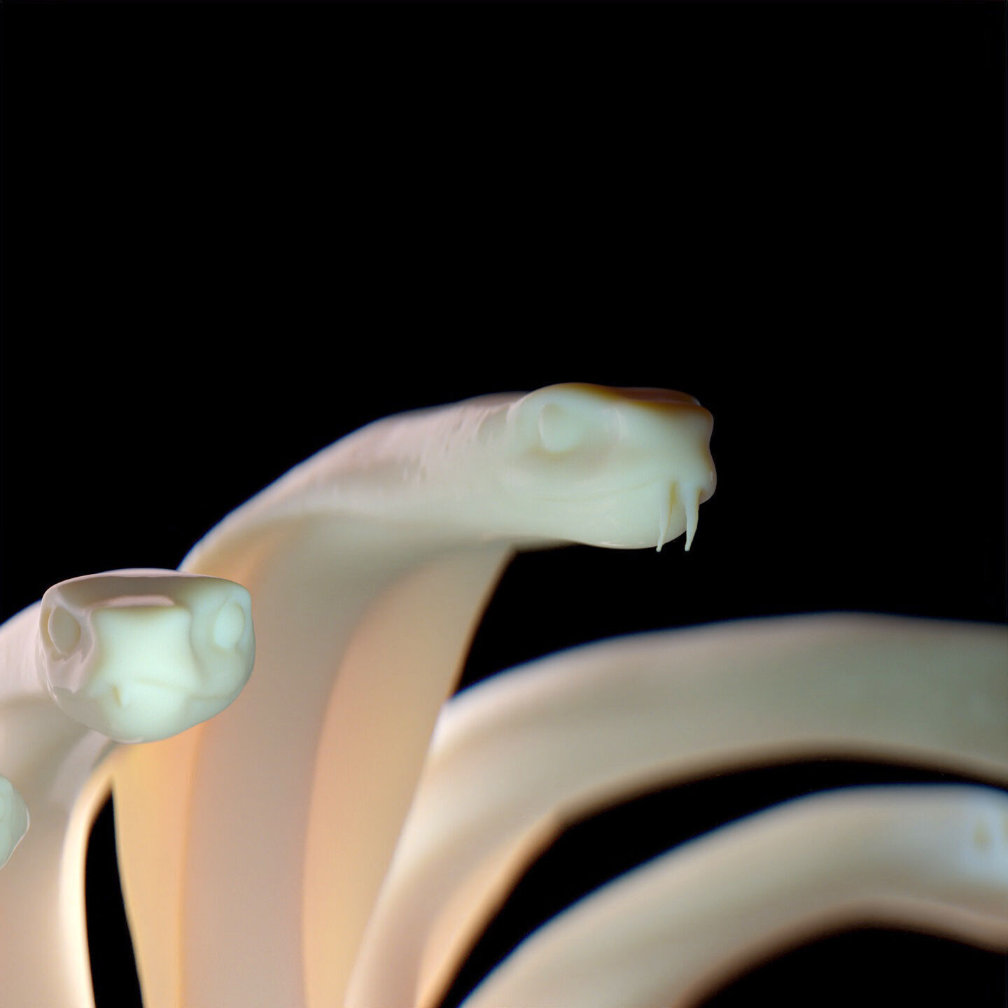 Hydra Snake Multi-Headed Serpent Statue 3D print model_5