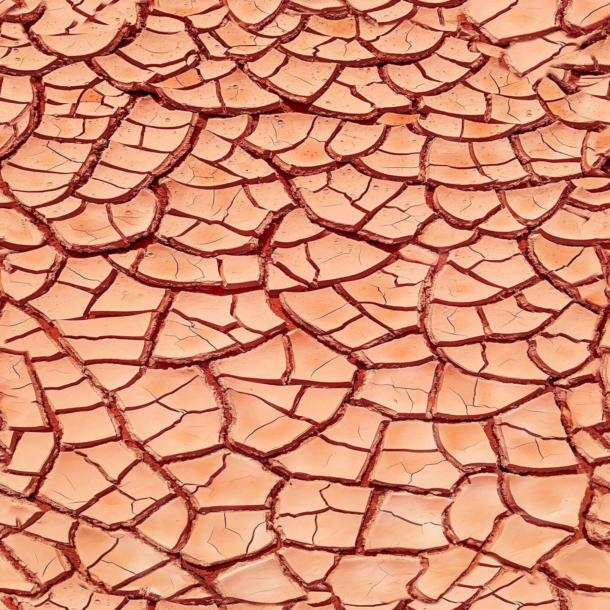 Hyonda blek 3D model_9