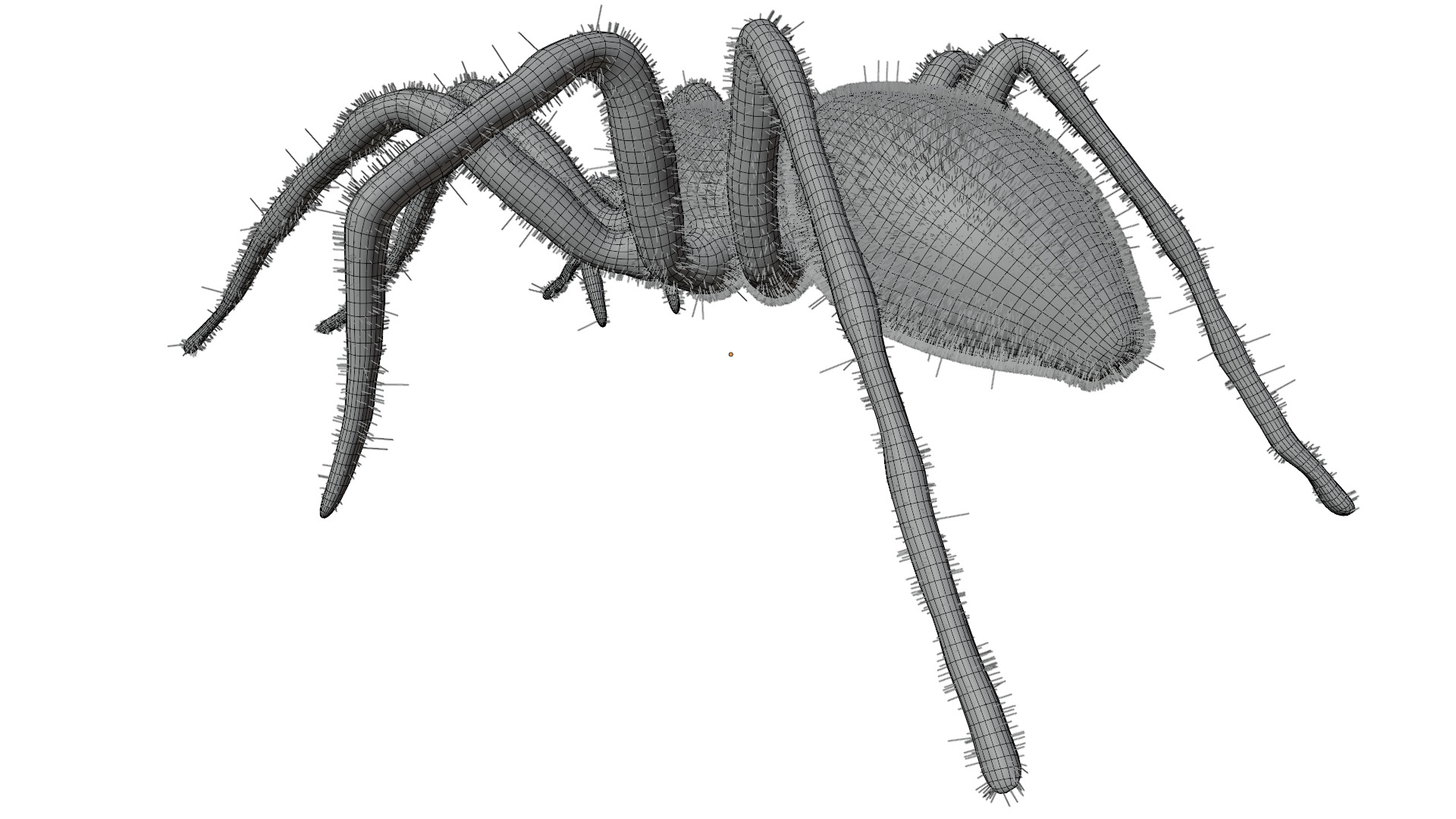 Fishing Spider 3D model_11